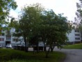 /album/kuvagalleria/ns-imelaisen-puisto-jpg/